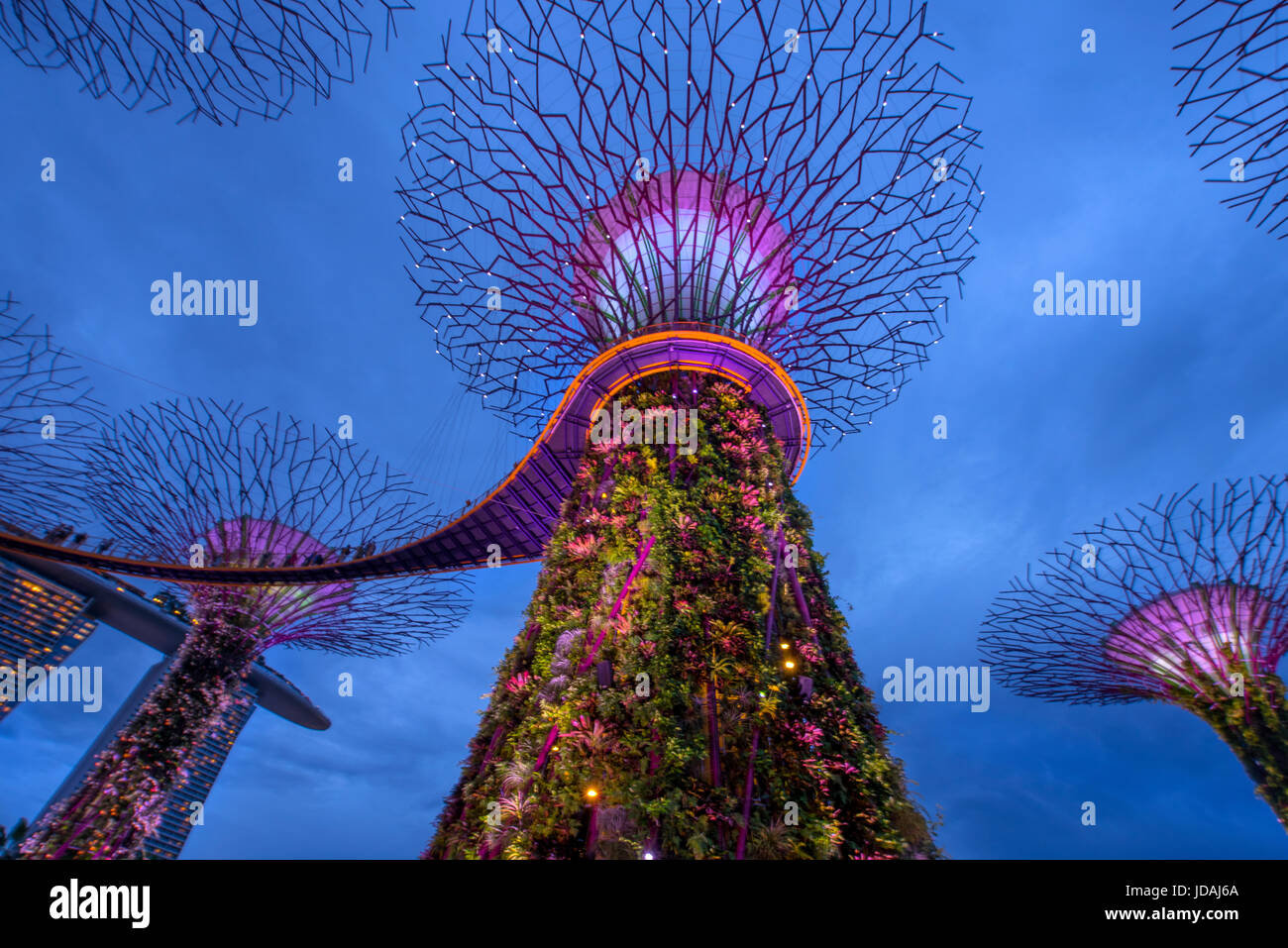 Gardens by the Bay, giant trees light show, Singapore Stock Photo Alamy