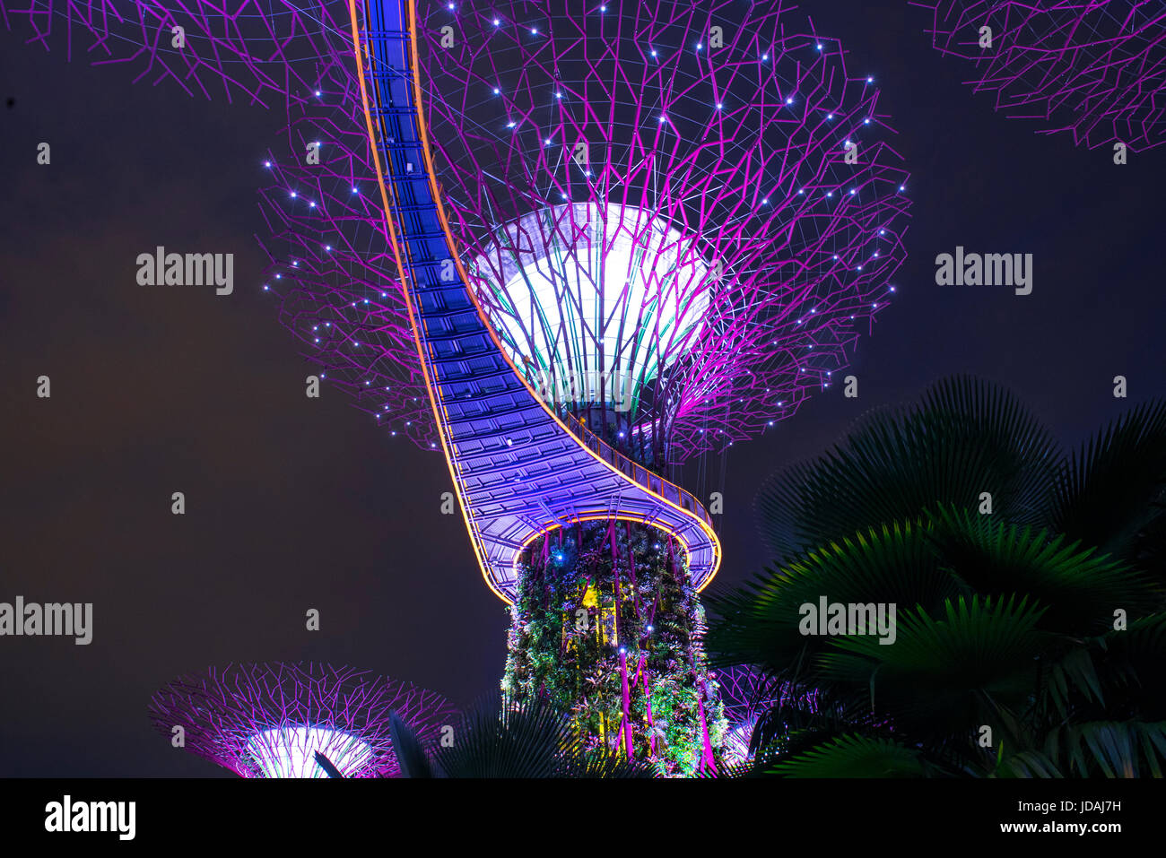Gardens by the Bay, giant trees light show, Singapore Stock Photo Alamy