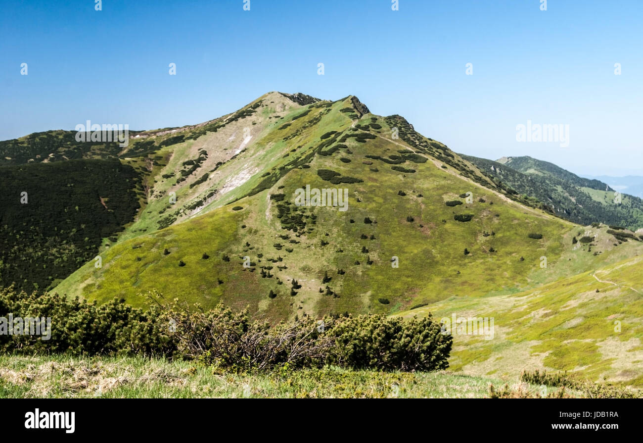 Maly Krivan hill from sedlo Bublen pass in Krivanska Mala Fatra mountain  range during spring day with clear sky Stock Photo - Alamy