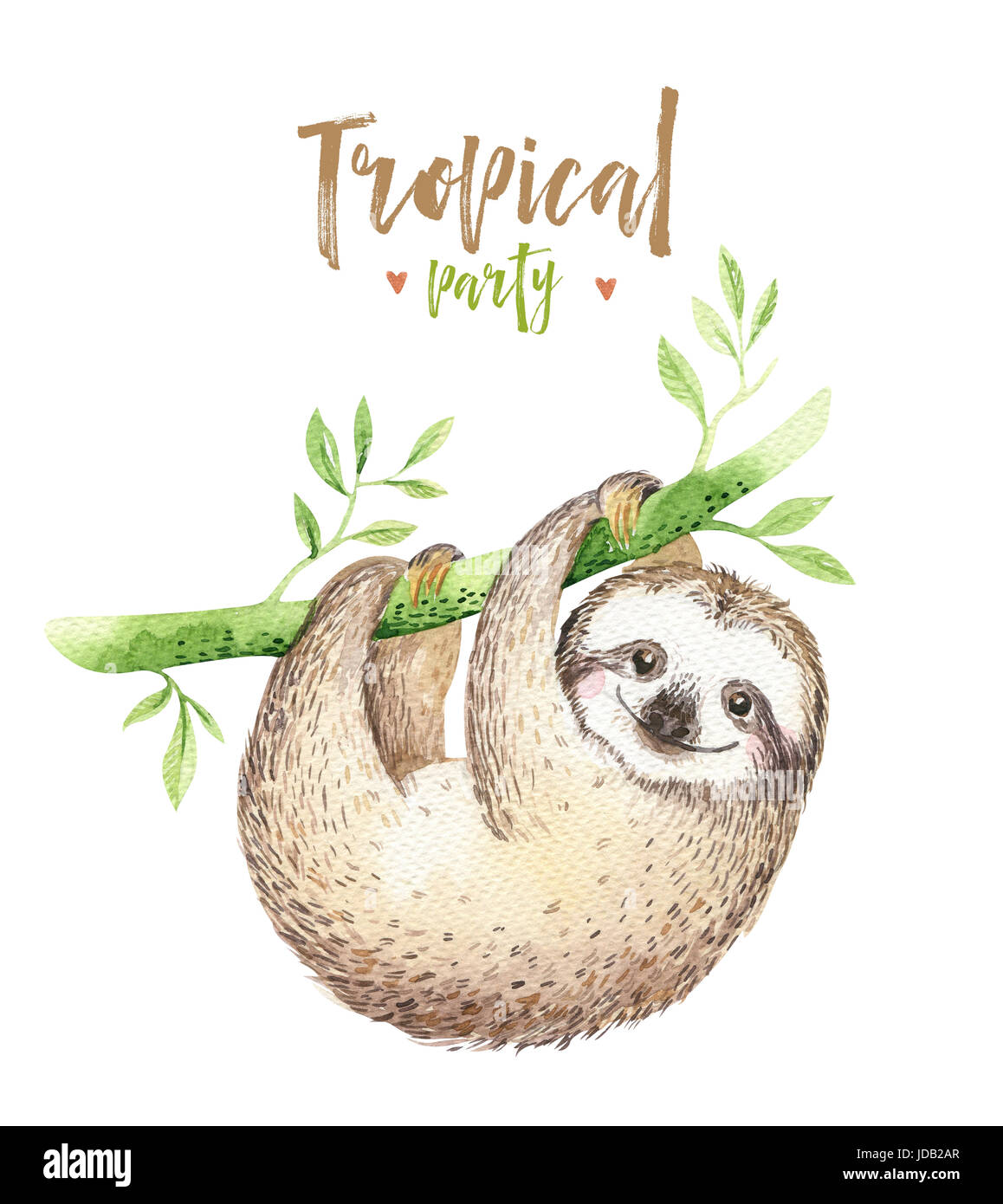 Baby animals sloth nursery isolated painting. Watercolor boho tropical drawing, child tropical illustration. cute palm tree leaves, tropic green textu Stock Photo