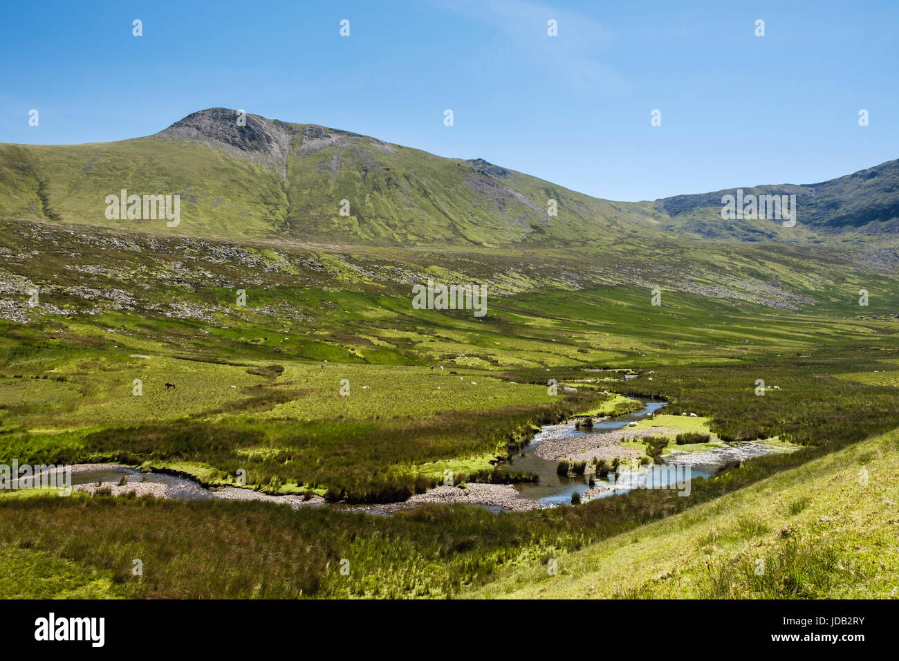 View across Afon Llafar river to Yr Elen in Carneddau mountains of Snowdonia National Park. Cwm Pen Llafar, Bethesda, Gwynedd, North Wales, UK Stock Photo