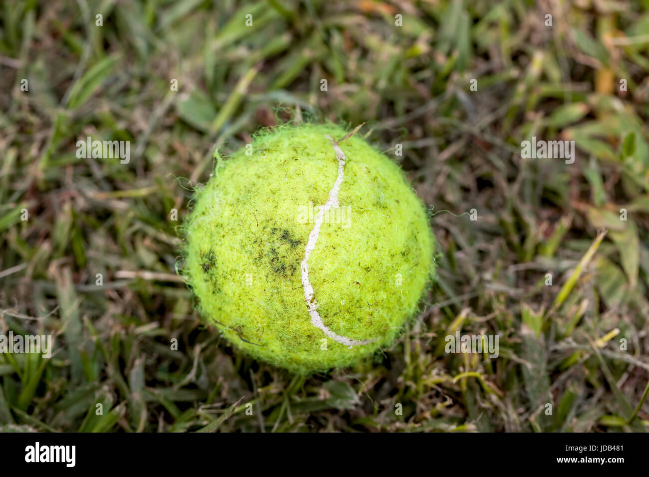 Dirty Yellow Tennis Ball Stock Photo