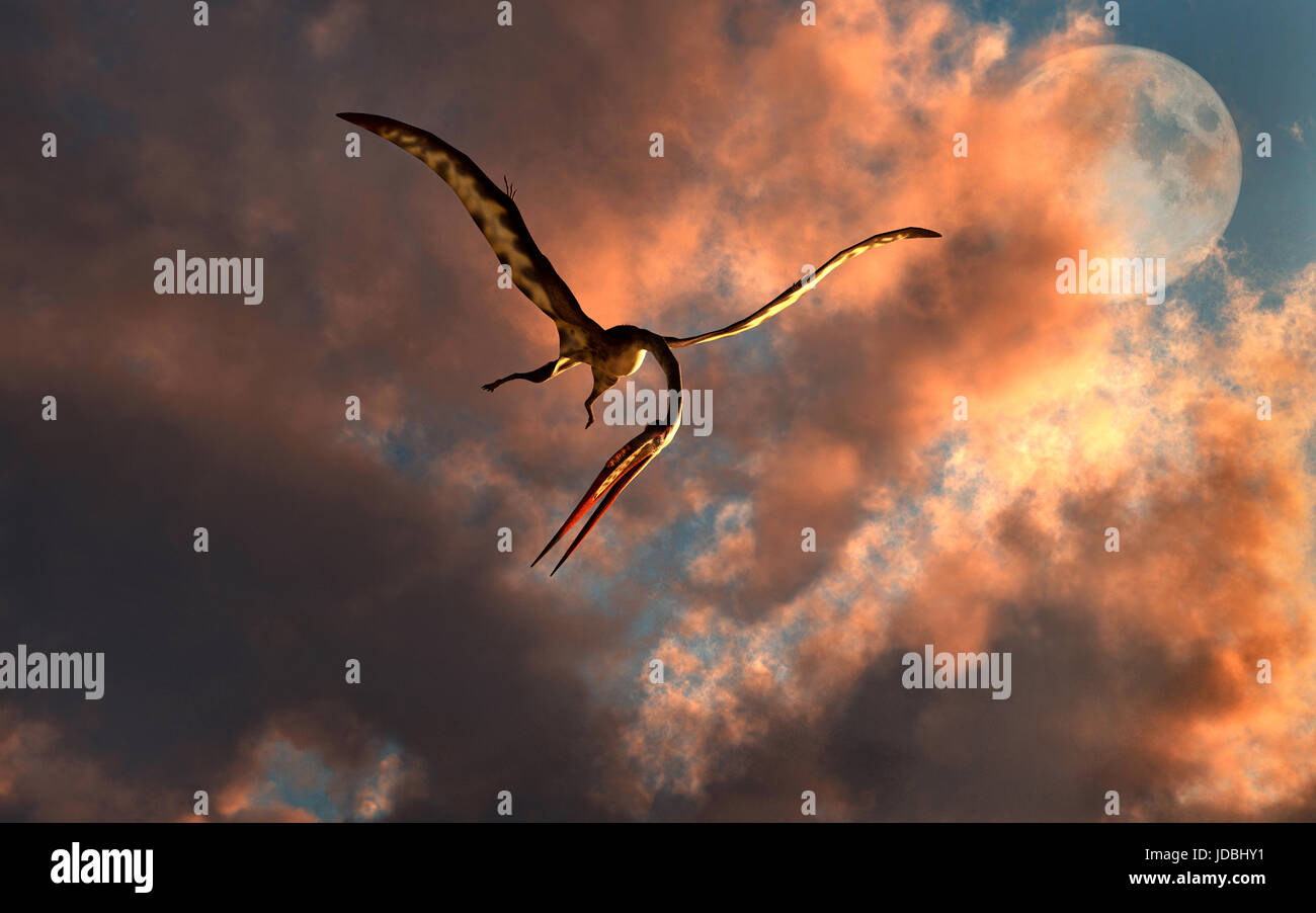 A High Flying Quetzalcoatlus , From Earths Cretaceous Era. Stock Photo