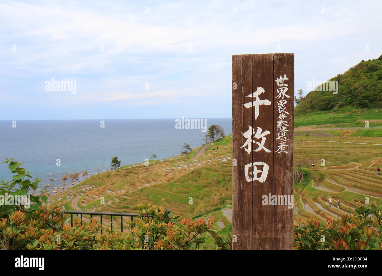 Senmaida Rice paddy terrace Wajima Ishikawa Japan. Senmaida is the valley of 1,000 rice paddies in Wajima Japan. Stock Photo