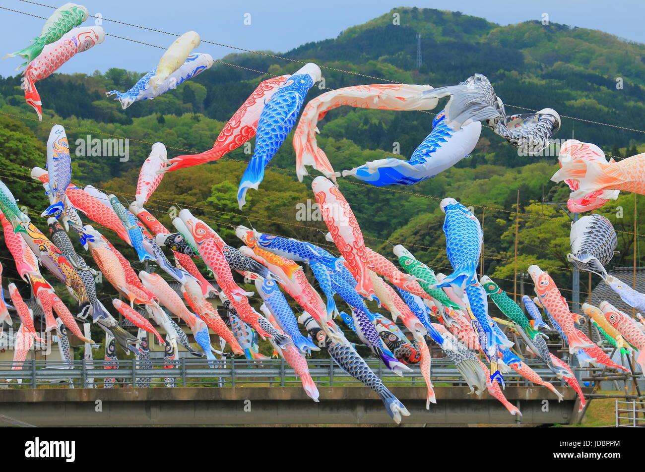 Koinobori in Ishikawa Japan. Koinobori is carp shaped wind socks traditionally flown in Japan to celebrate Tango no sekku children's day. Stock Photo