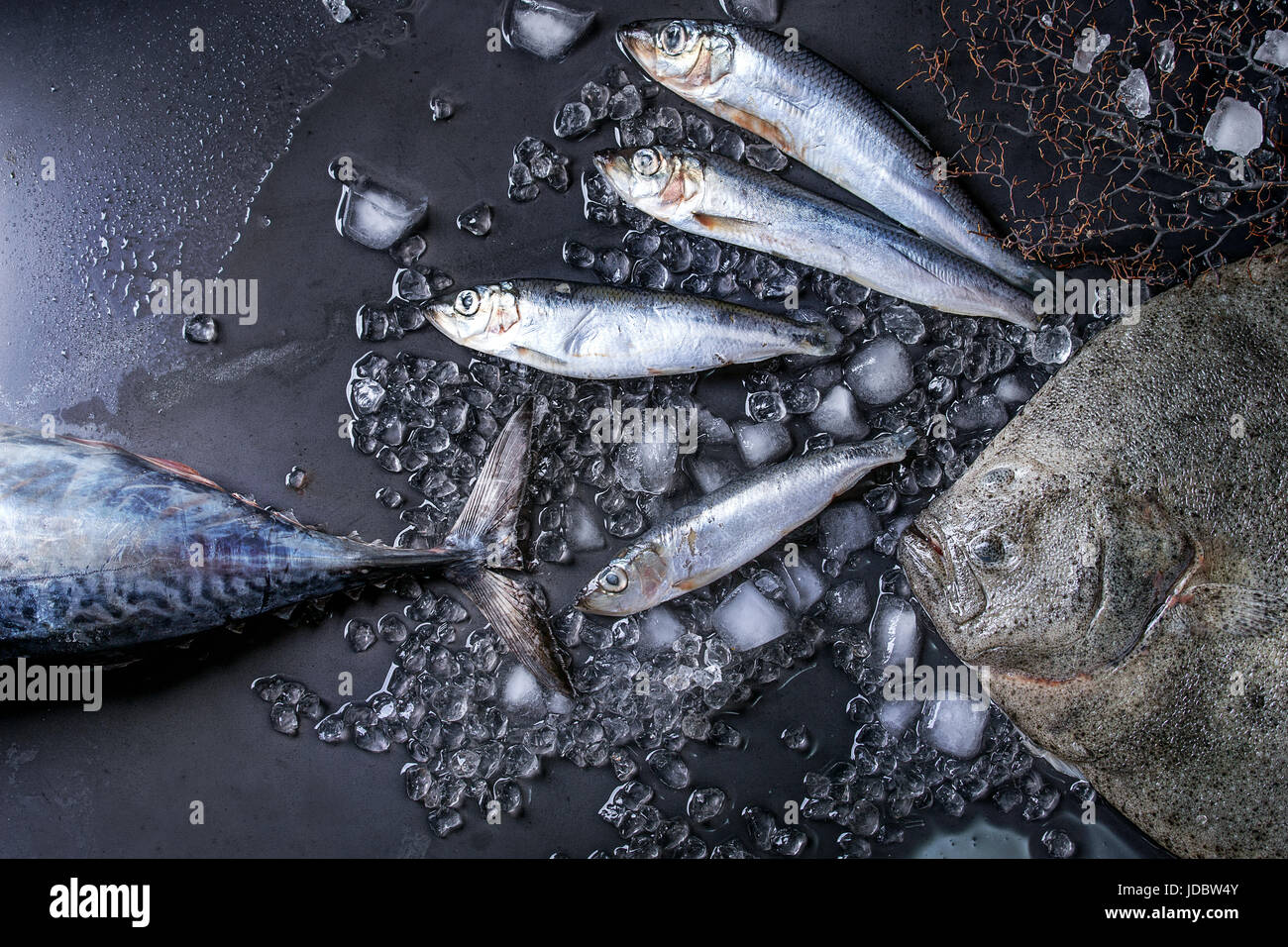 Raw fresh tuna, herring and flounder fish Stock Photo Alamy