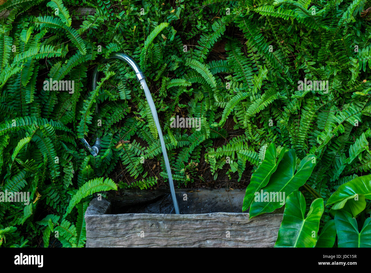 Outdoor wooden sink for washing hand on brick wall decorated with fern. Stock Photo