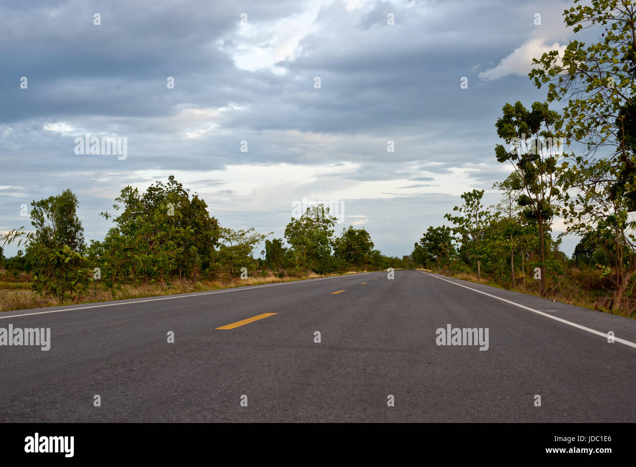 asphalt road in forest natural green Stock Photo - Alamy