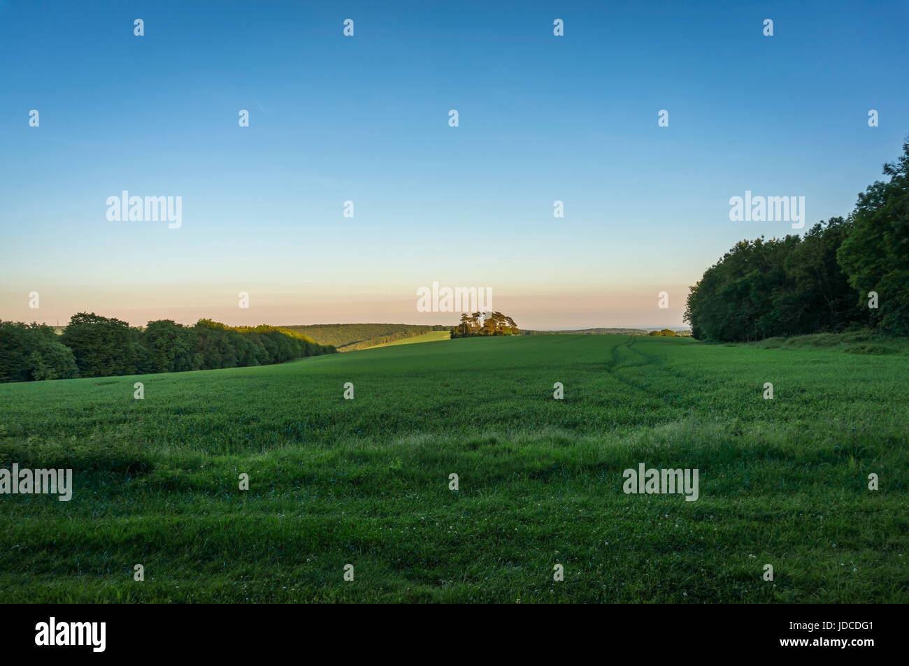 Farmland at Waltham Down in the South Downs National Park, West Sussex, UK Stock Photo