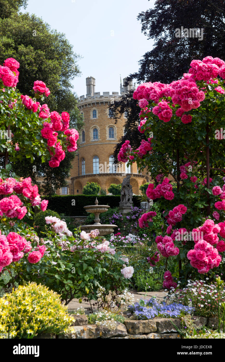 A view of Belvoir Castle through the pretty flowers in the Rose Garden, Leicestershire England UK Stock Photo