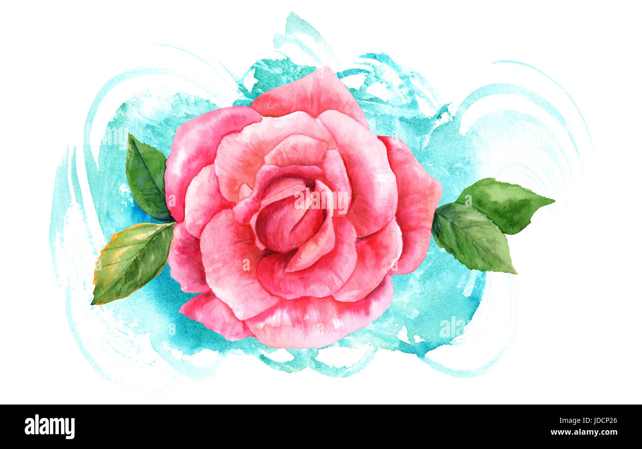 A watercolor drawing of a vibrant pink rose flower, painted in the