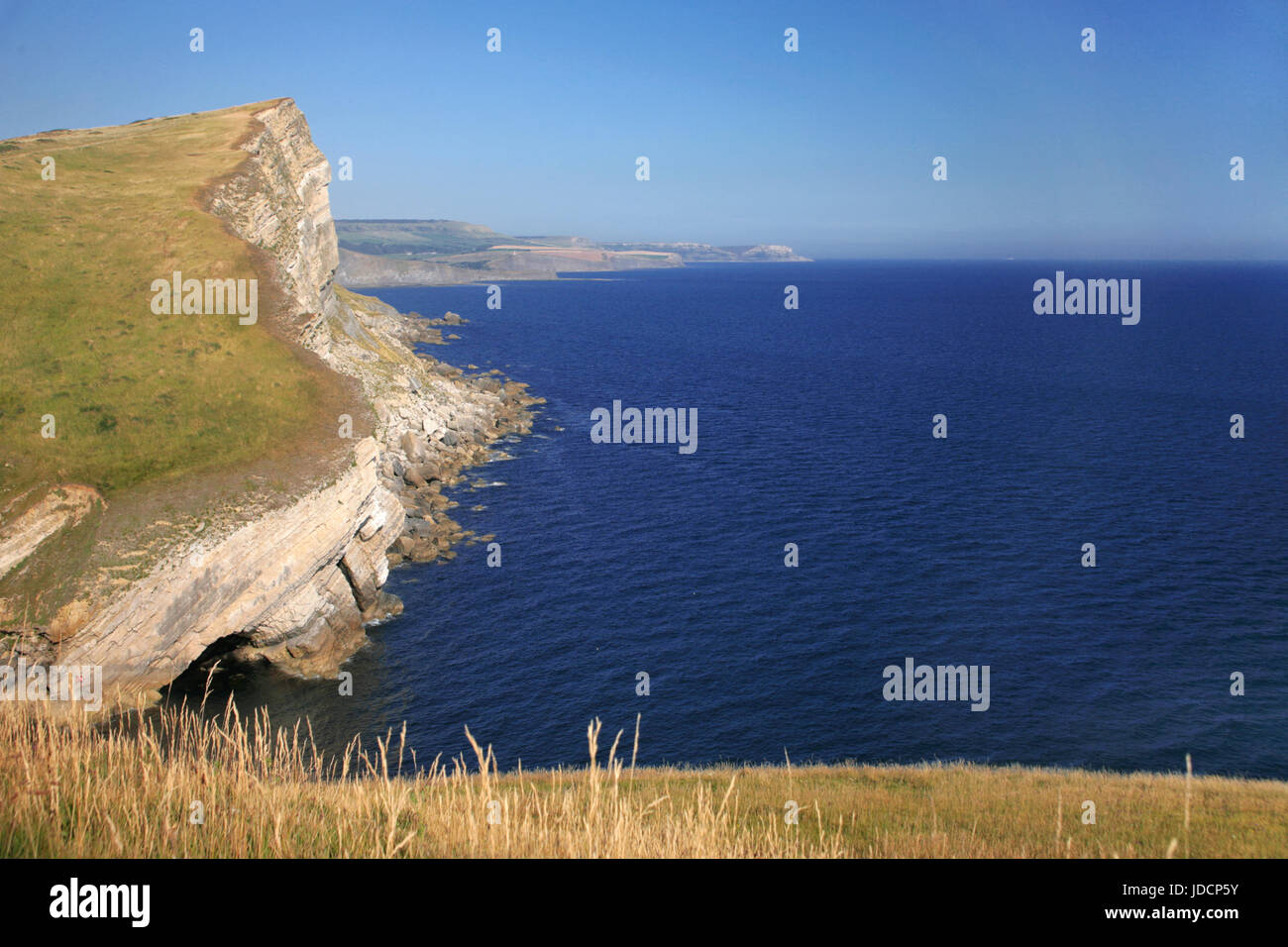 Looking East from Worbarrow Tout, along Gold Down and Gad Cliff, Isle of Purbeck, Dorset: UK: St Aldhelm's (St Alban's) Head in the distance Stock Photo