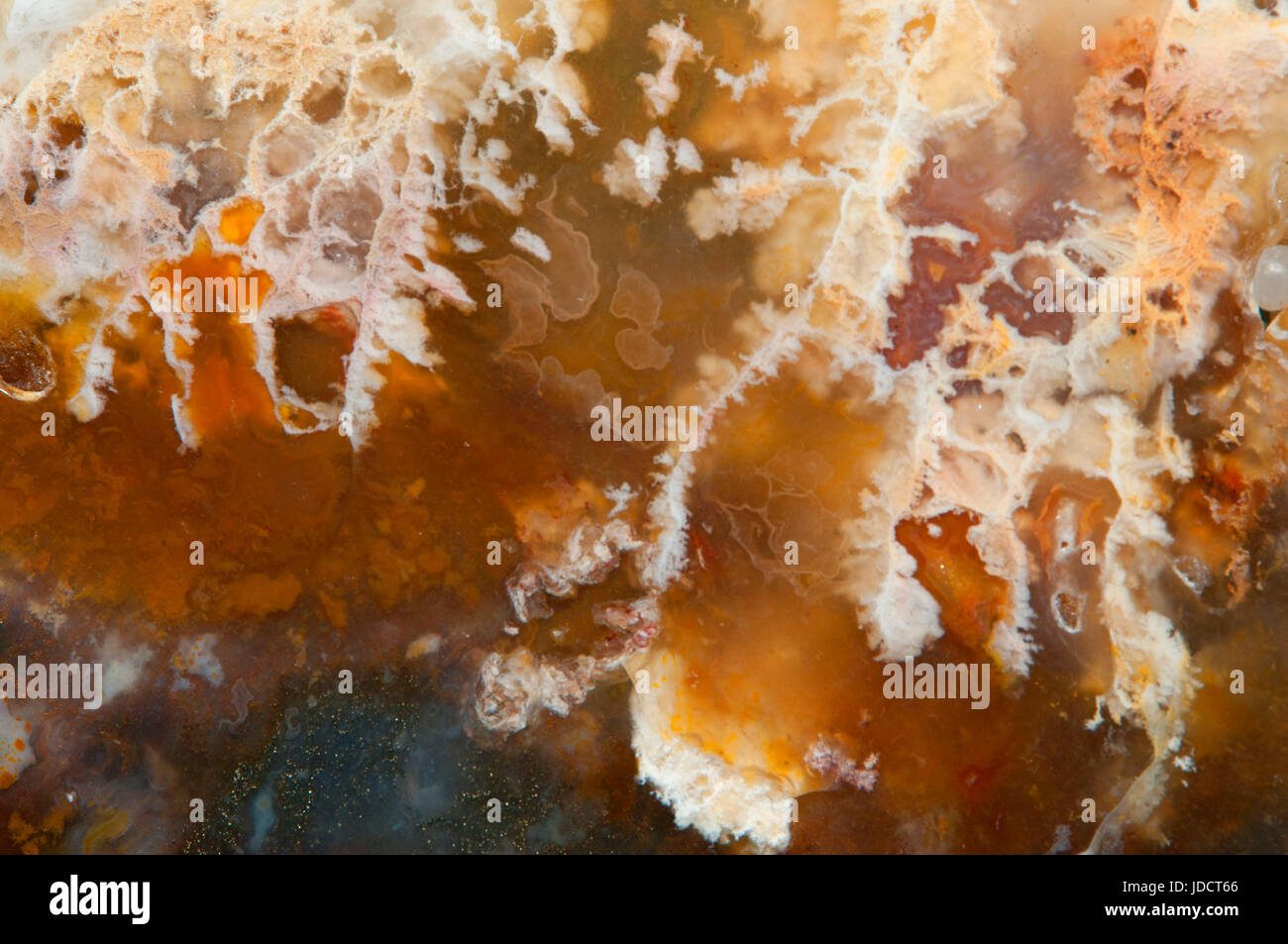 Graveyard Point agate, Oregon Stock Photo Alamy