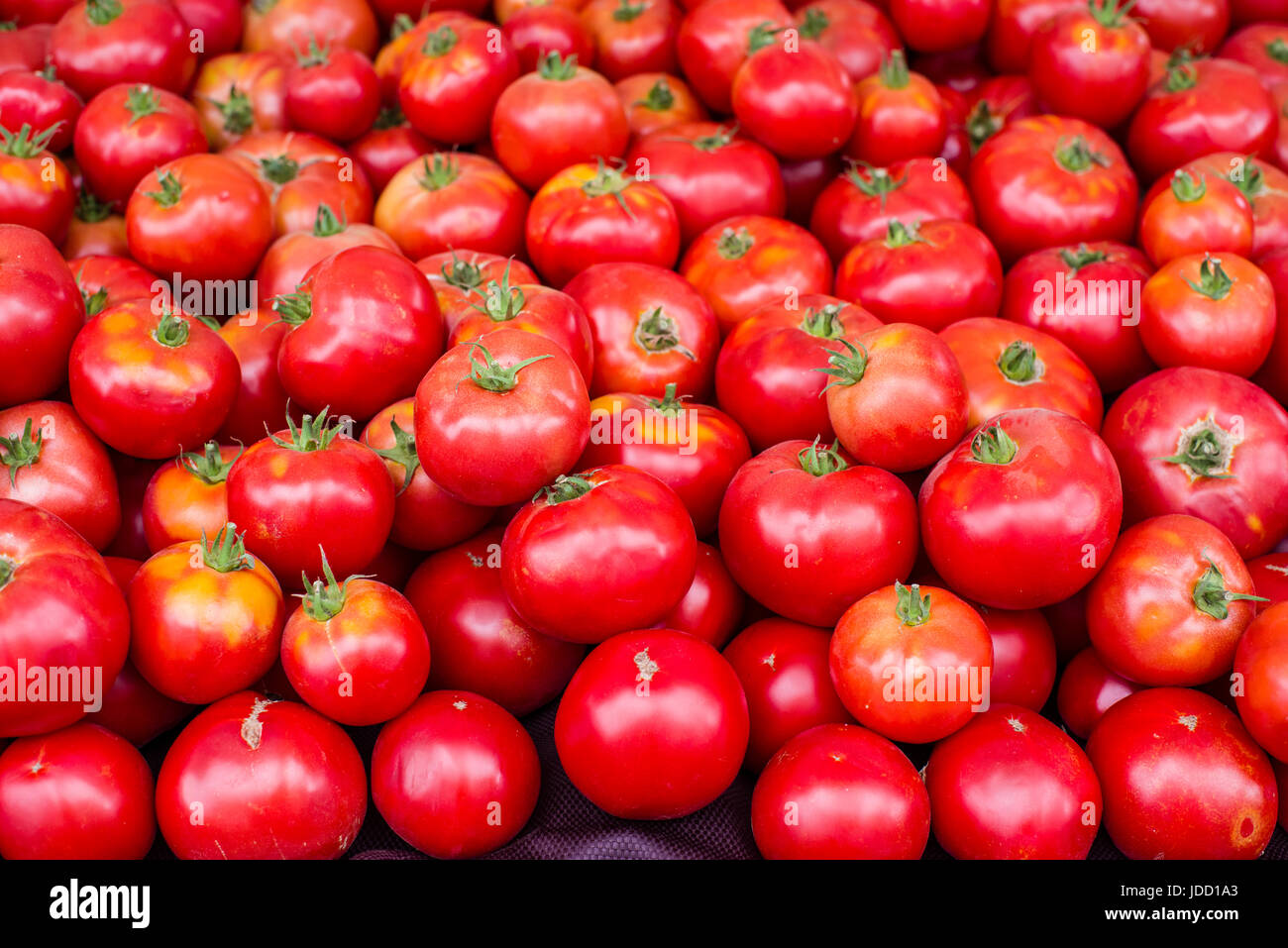 Display of fresh red ripe tomatoes at the farmers market Stock Photo ...