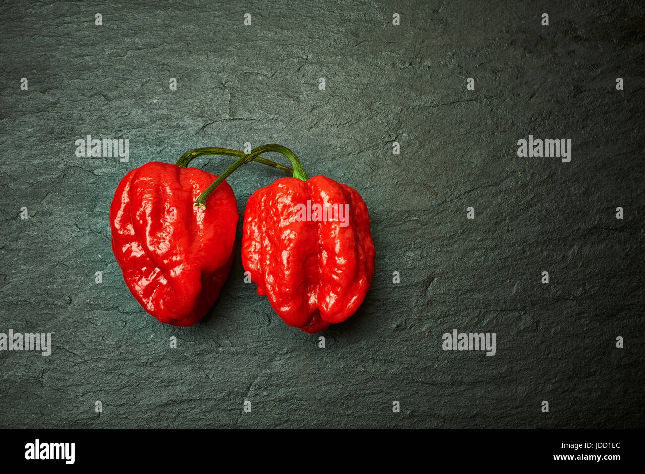 A Carolina Reaper (Capsicum chinense), confirmed by the Guinness World