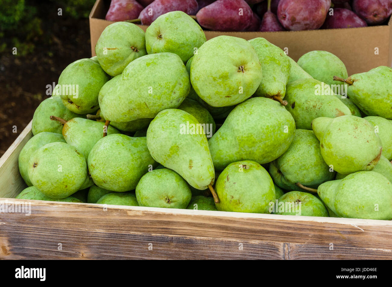 Green Bartlett pears on display at the farmers market Stock Photo Alamy