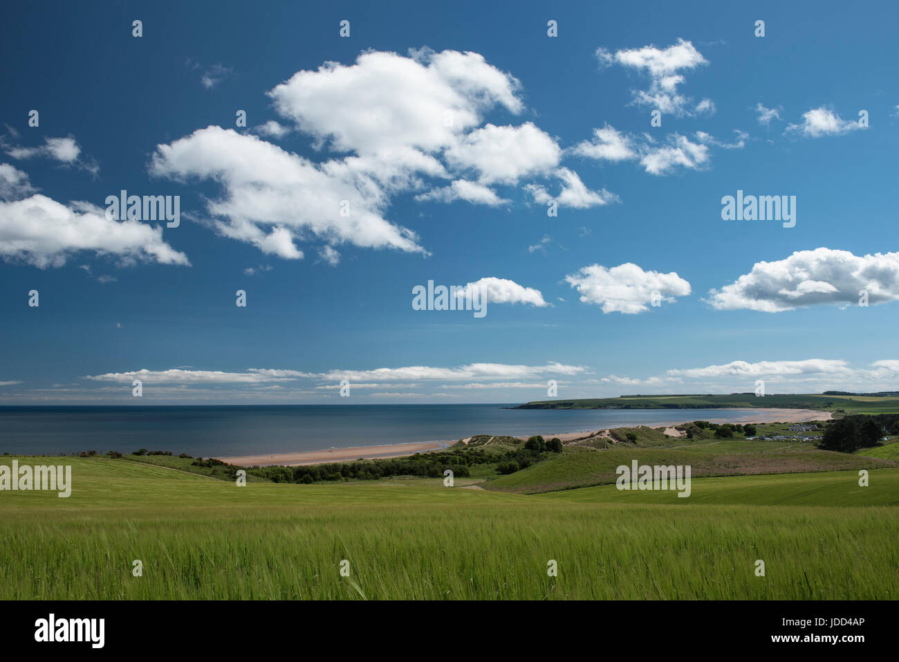 Lunan Bay, Angus, Scotland Stock Photo