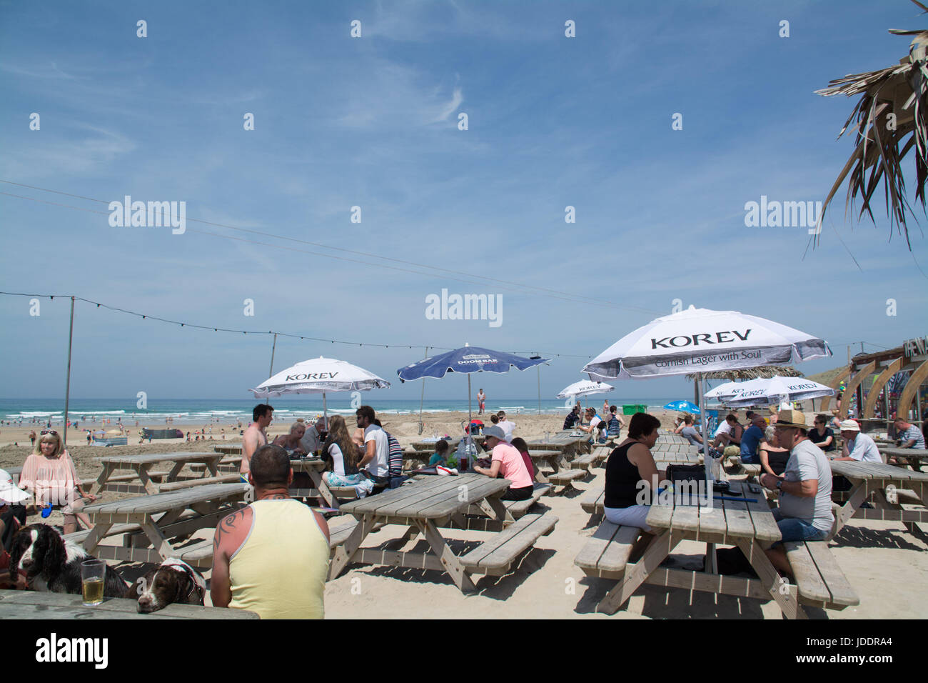 Perranporth, Cornwall, UK. 20th June, 2017. UK Weather. Punters enjoying a pint at the Watering Hole, bar on the beach at Perranporth today. Credit: cwallpix/Alamy Live News Stock Photo