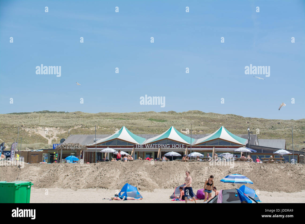 Perranporth, Cornwall, UK. 20th June, 2017. UK Weather. Punters enjoying a pint at the Watering Hole, bar on the beach at Perranporth today. Credit: cwallpix/Alamy Live News Stock Photo