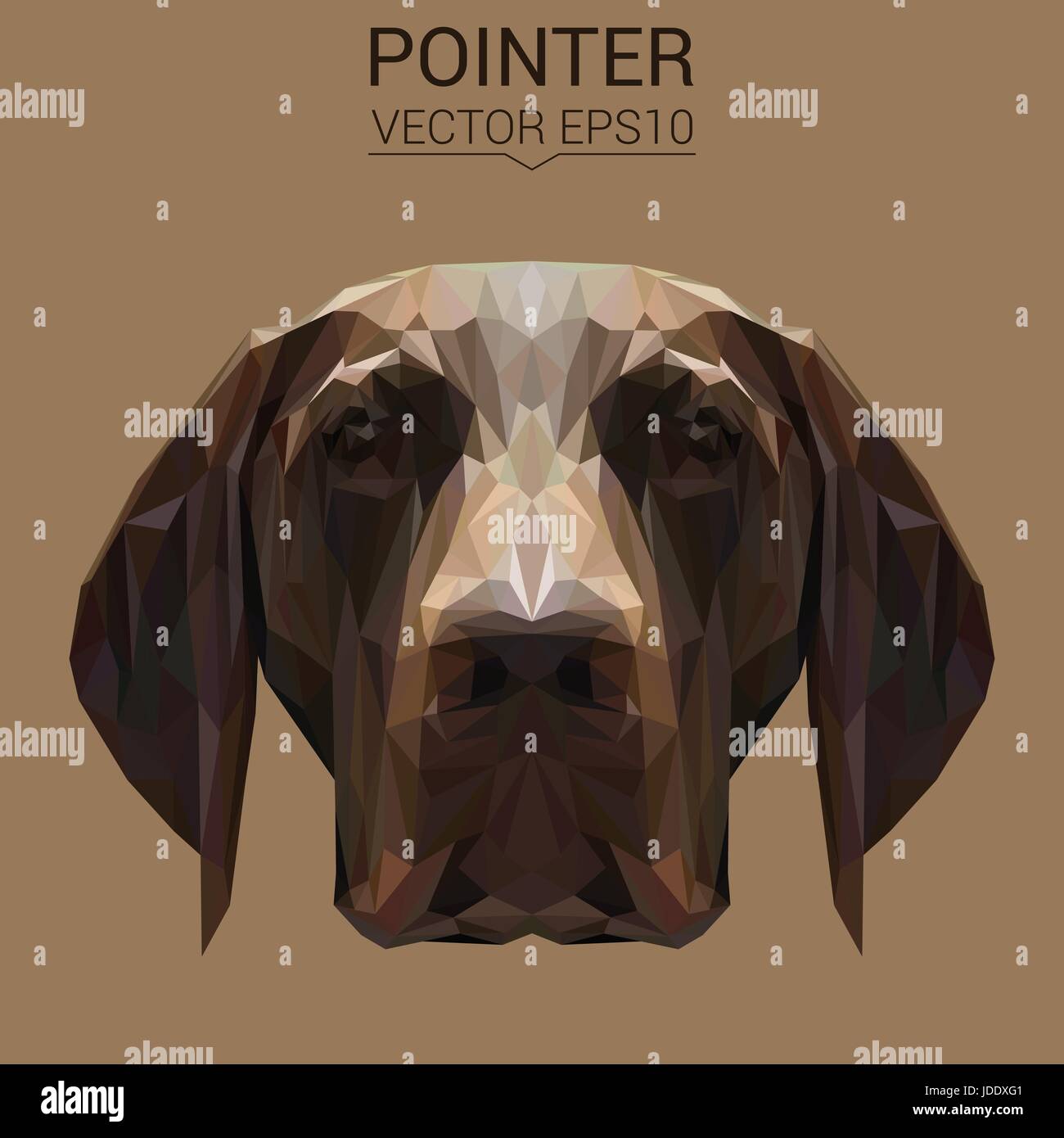 English Pointer Dog animal low poly design. Triangle vector illustration. Stock Vector