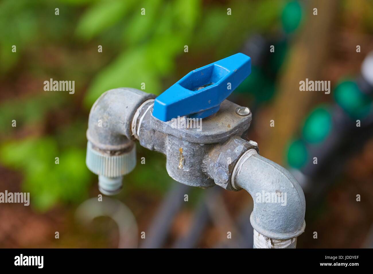 Simple water pipe in a garden Stock Photo Alamy