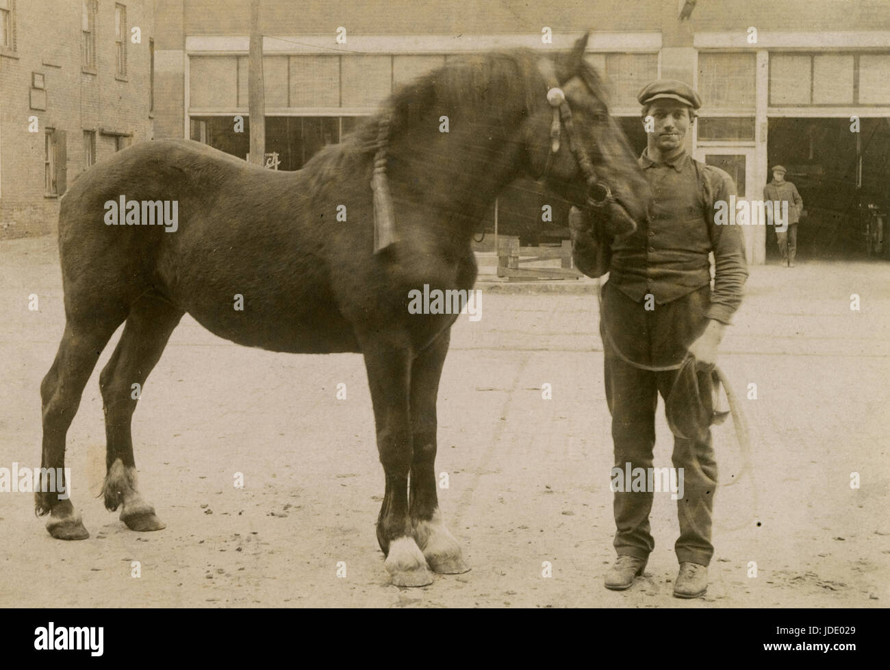 Antique c1910 photograph, worker with horse in front of the Buick Motor Company. Location is probably Mankato, Minnesota. SOURCE: ORIGINAL PHOTOGRAPH. Stock Photo