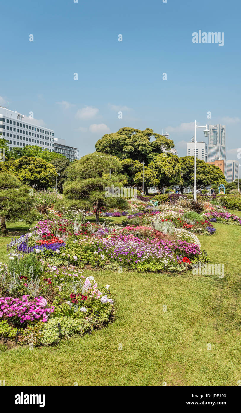 Three Rose Garden at Yamashita Park at the Yokohama waterfront during