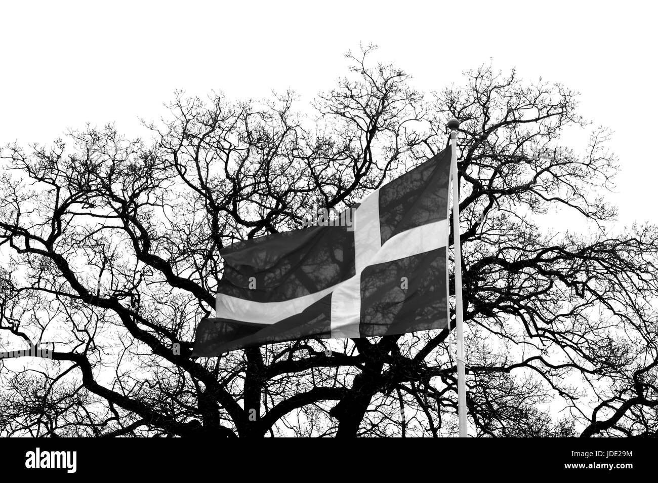 Danish Flag Flag Flag Pole Denmark Stock Photo Alamy