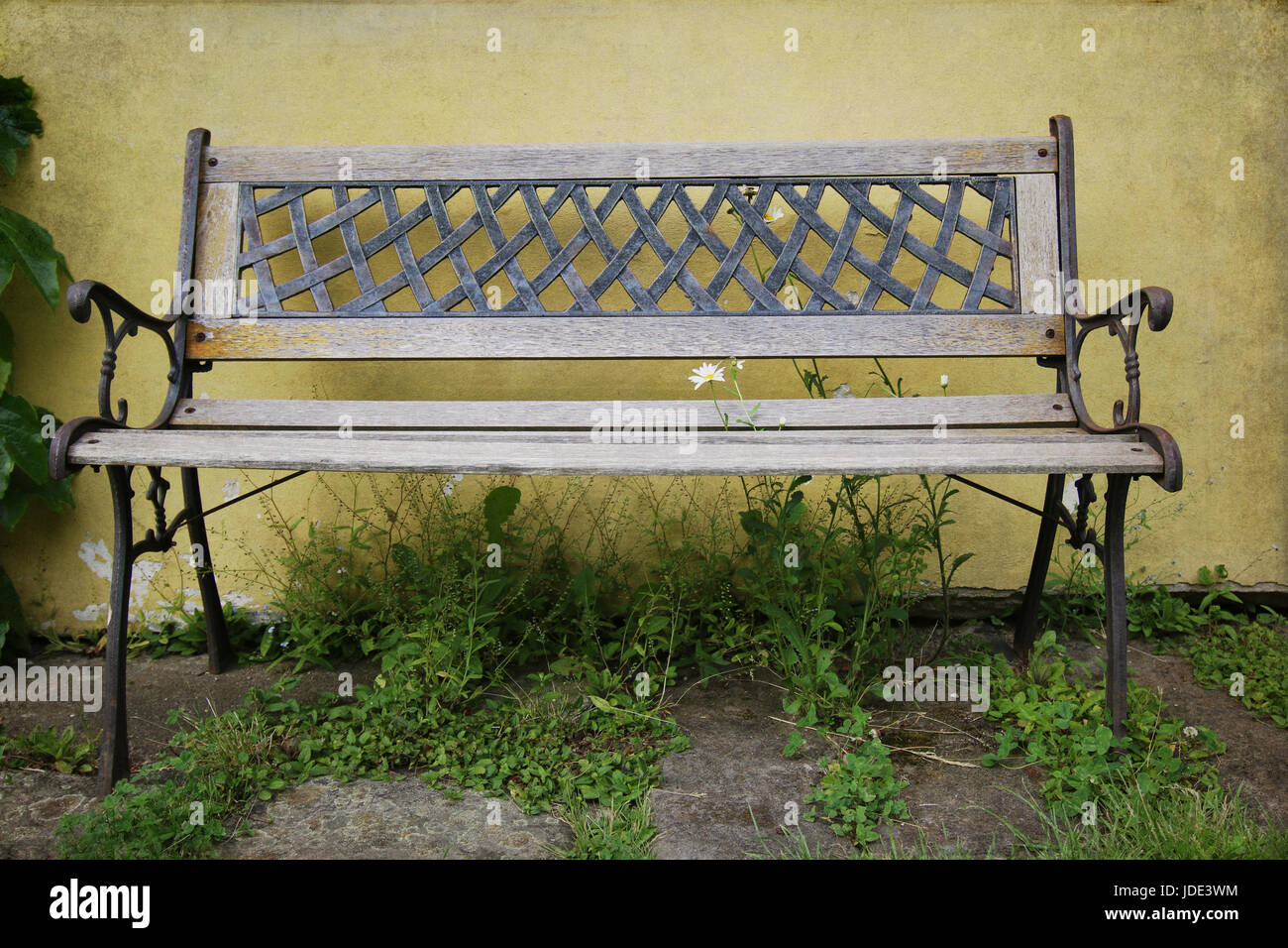 Old garden bench between daisies - detail Stock Photo