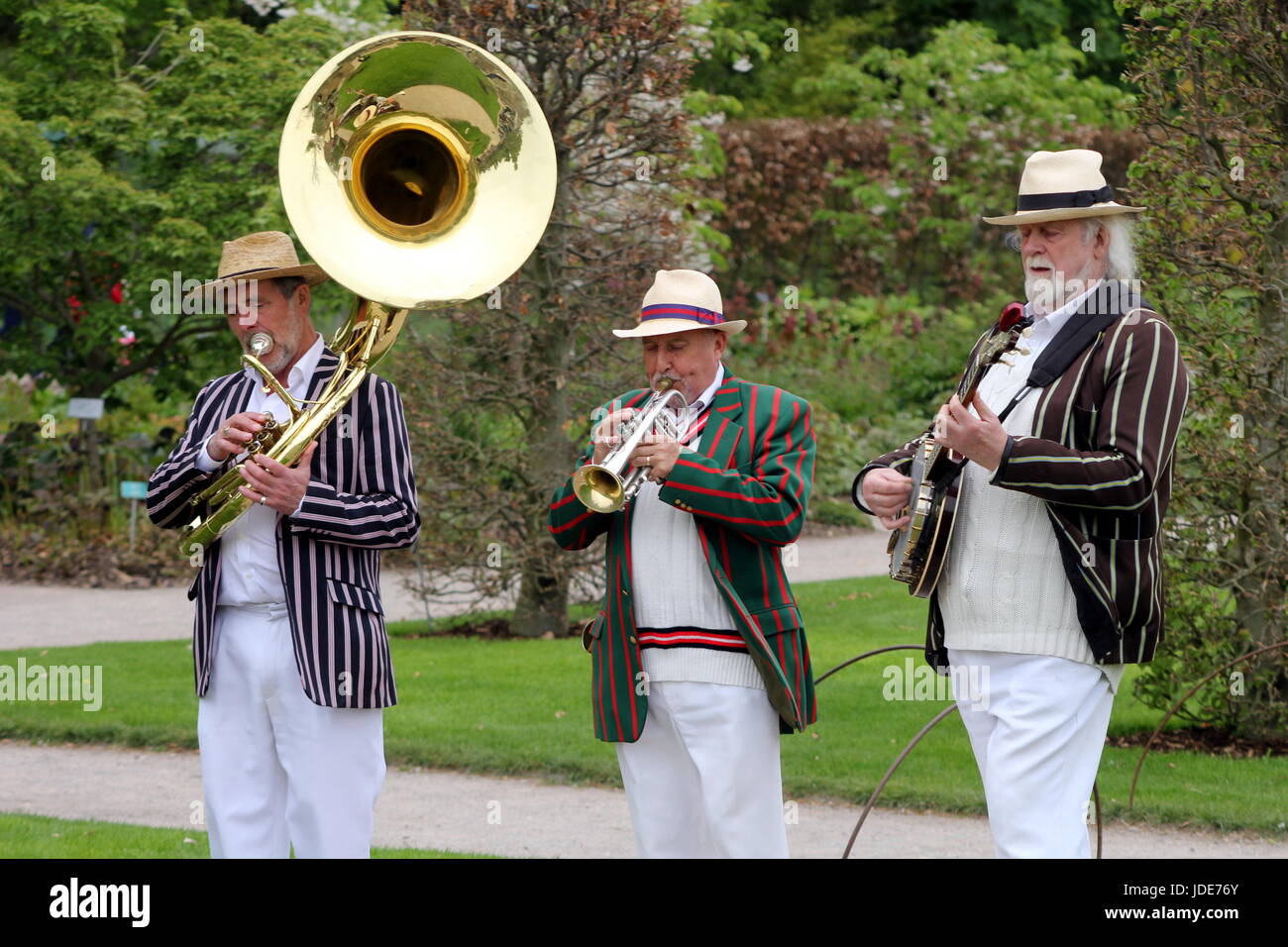 Trad Jazz trio in striped boating blazers, playing sousaphone, cornet and banjo Stock Photo