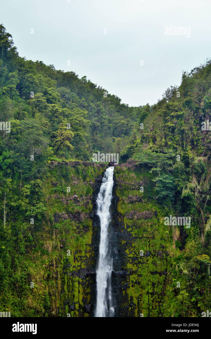 This photo was taken while adventuring around Hawaii. Akaka Falls is truly a gem and I would recommend it to anyone who happens to be in the area. Stock Photo