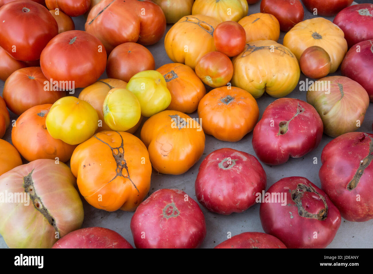 Heirloom tomatoes for sale at a Farmers Market in Issaquah, Washington ...