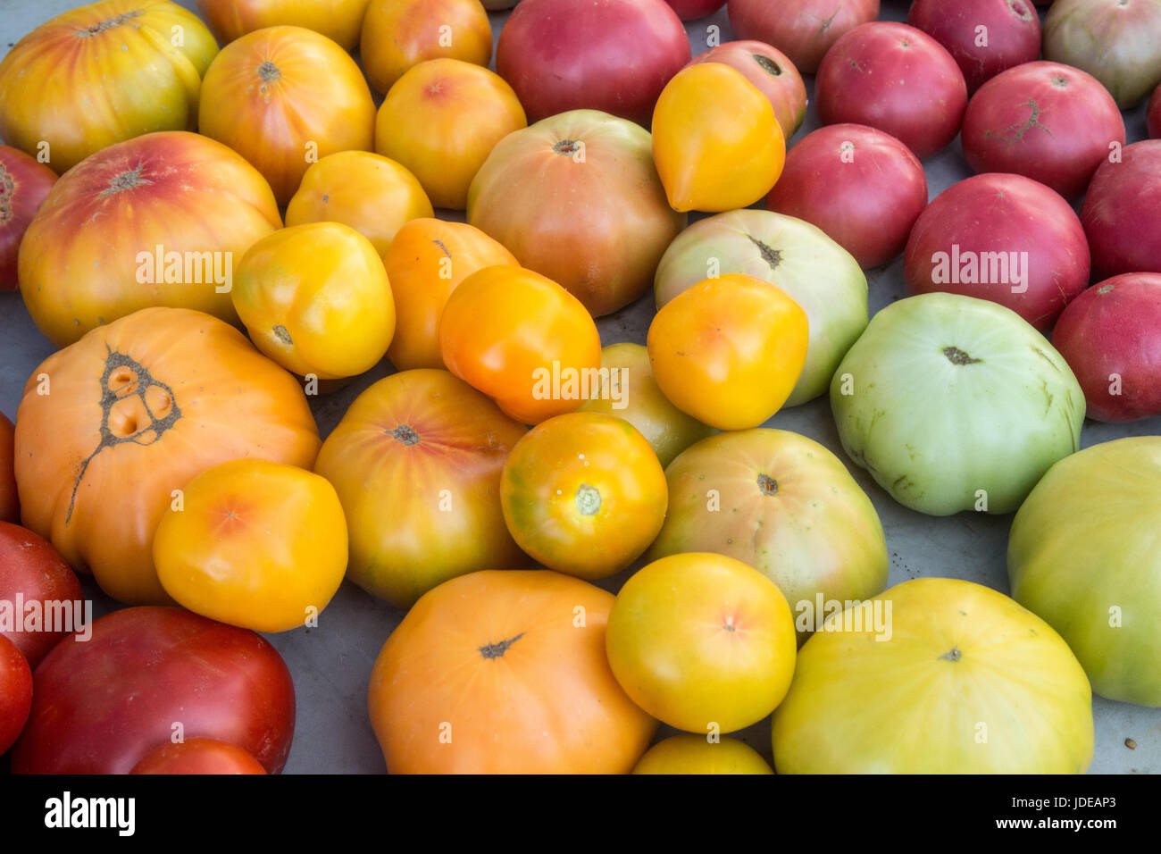 Heirloom tomatoes for sale at a Farmers Market in Issaquah, Washington ...