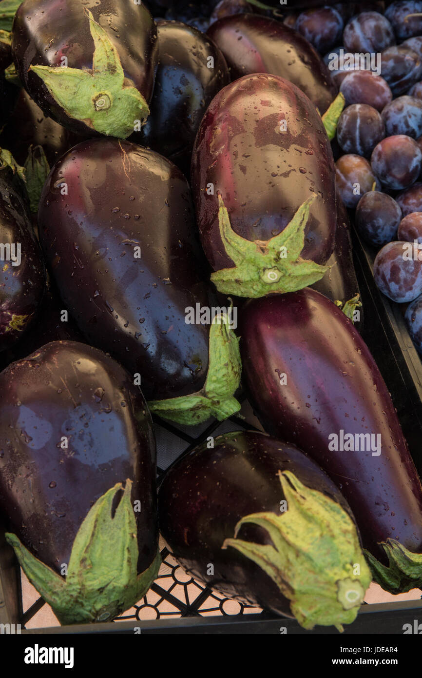 Pile of eggplants for sale at a Farmers Market in Issaquah, Washington, USA Stock Photo