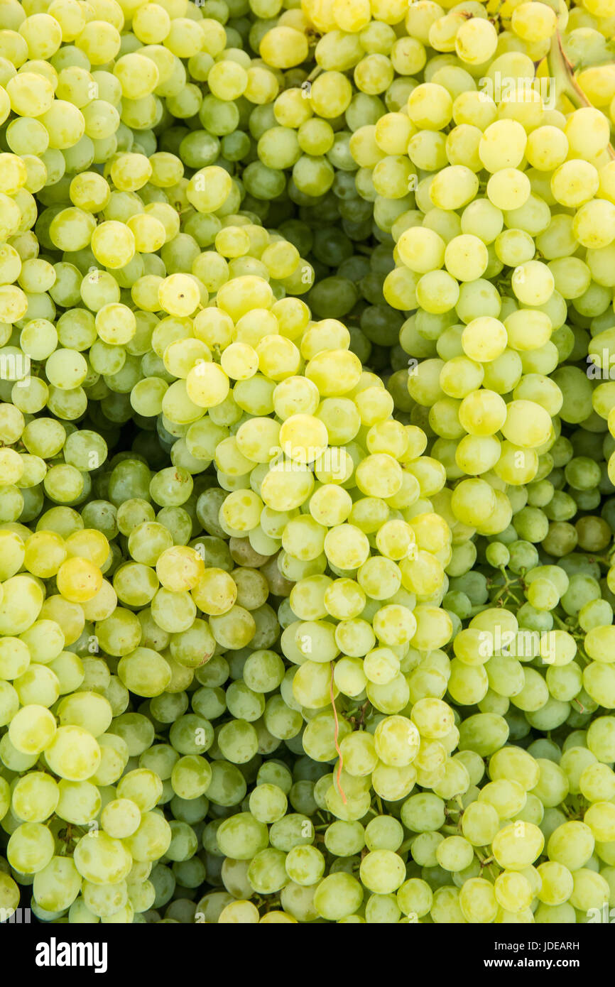 Clusters of table grapes for sale at a Farmers Market in Issaquah