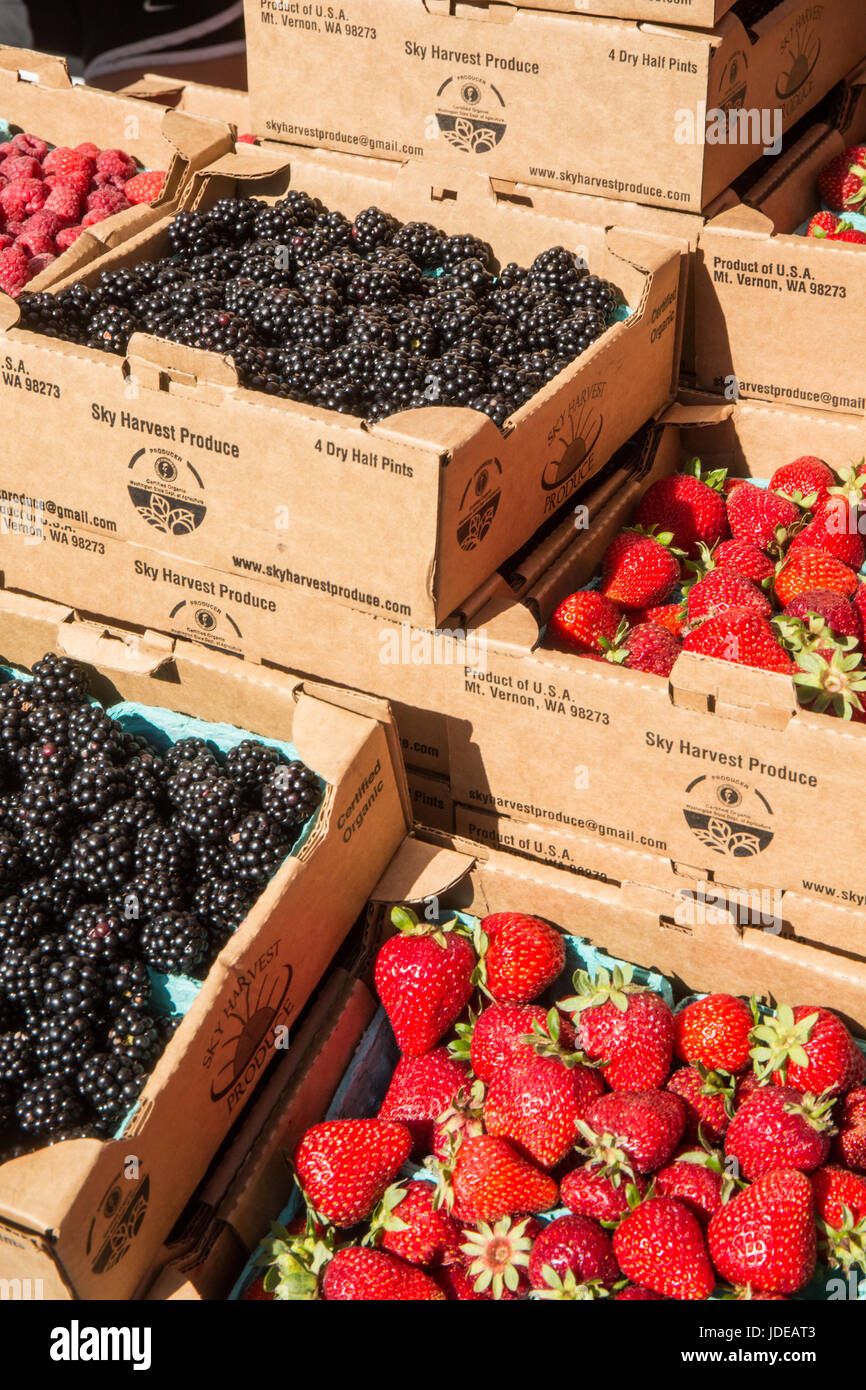 Container of blackberries hires stock photography and images Alamy