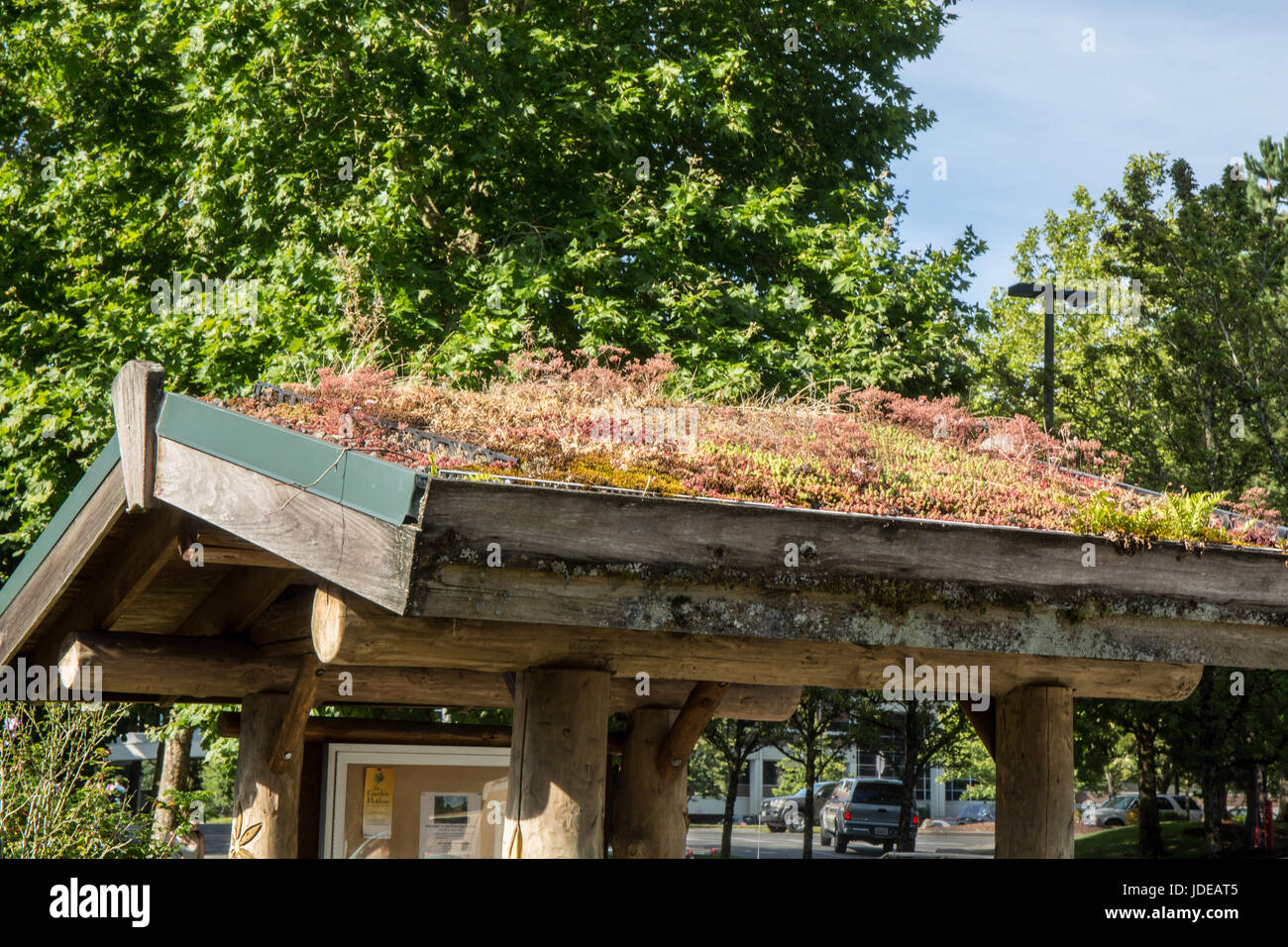 Living or green roof at the Cedar River Watershed Education Center in North Bend, Washington, USA Stock Photo