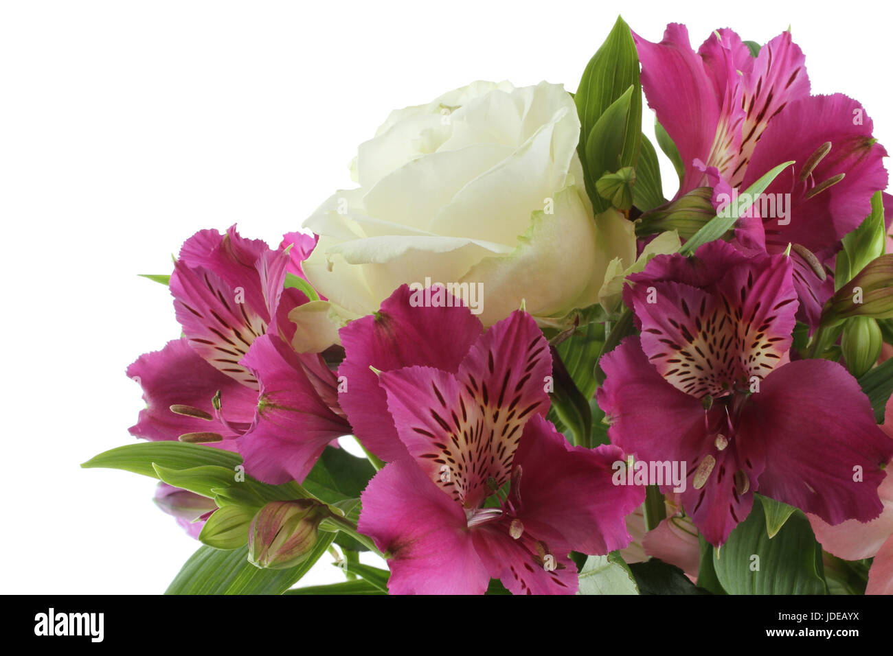 Bouquet of big white roses and pink and lilac alstroemeria flowers isolated  on white background Stock Photo - Alamy