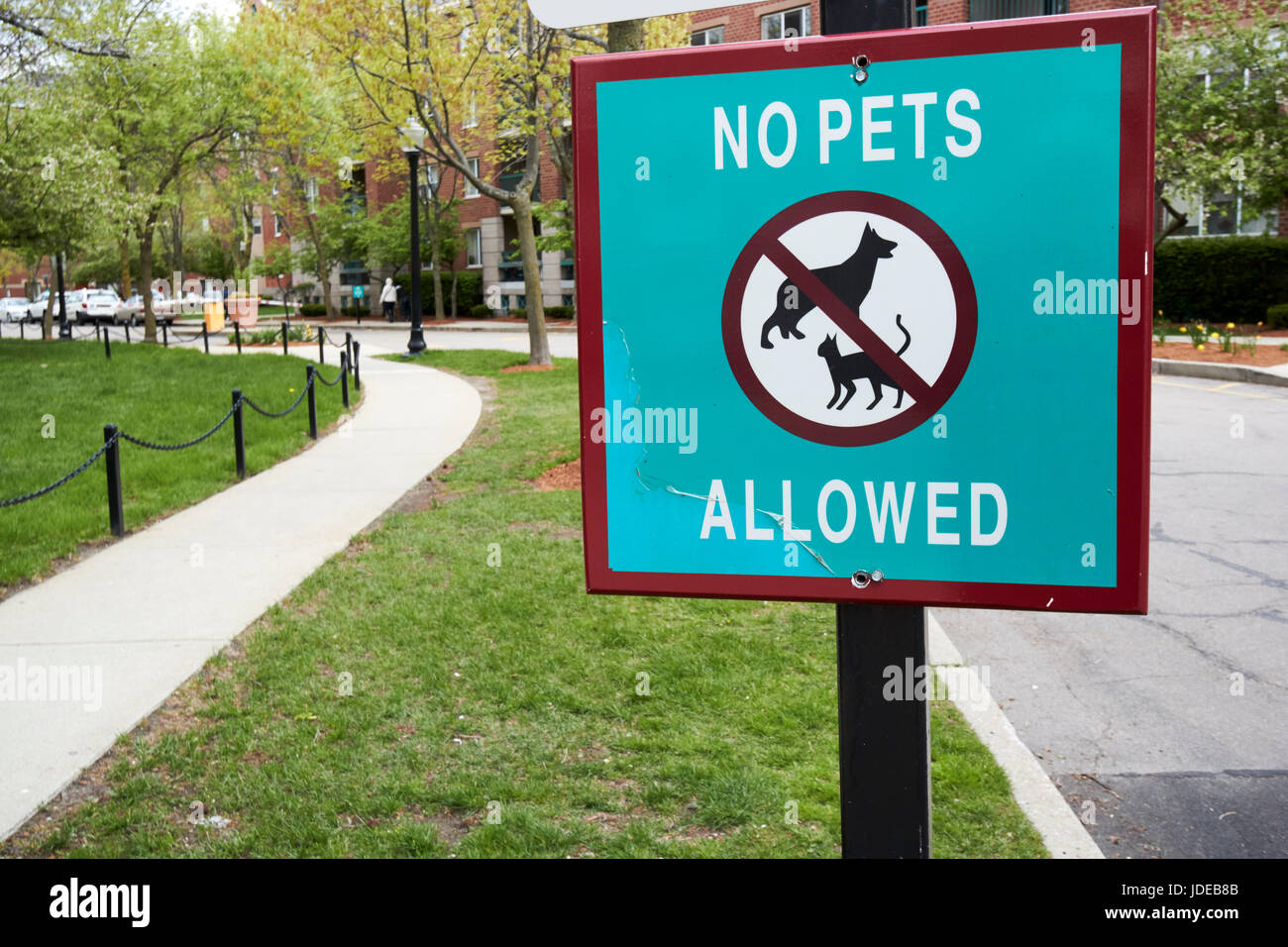warning no pets allowed housing complex Boston USA Stock Photo