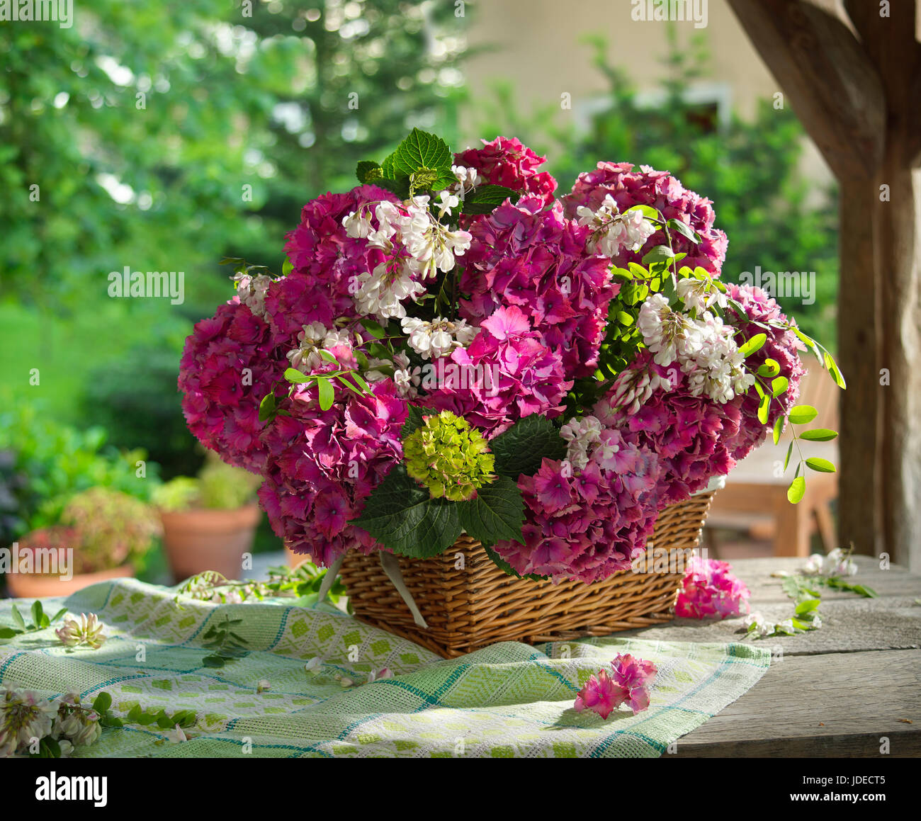 Bouquet of flowers with hydrangea. Stock Photo