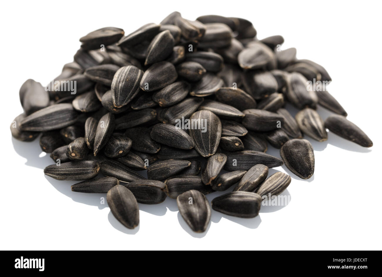 pile of sunflower seeds on a white background Stock Photo - Alamy