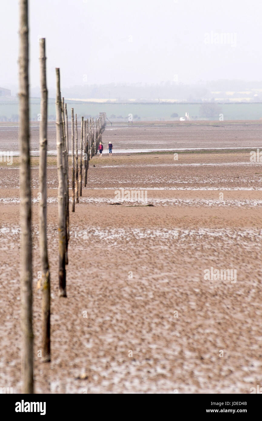 Pilgrims Way, Lindisfarne Holy Island, Northumberland Stock Photo Alamy