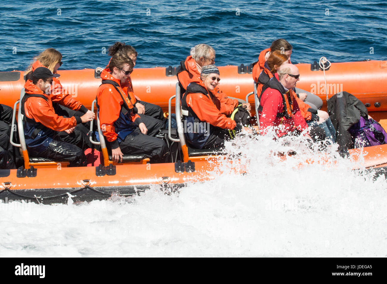 boat trip on Osprey rigid hulled inflatable to the Isle of May