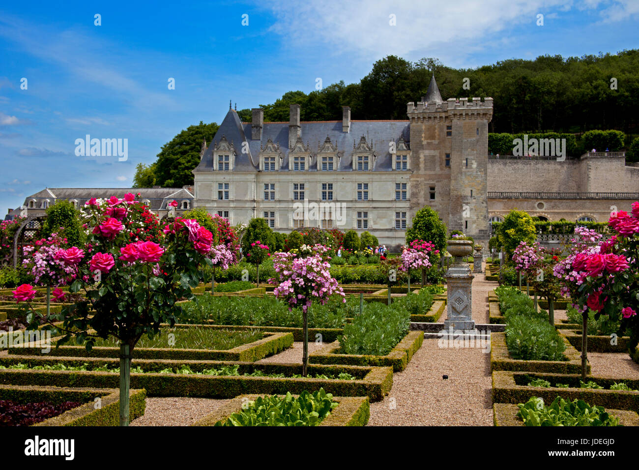 Villandry Chateau, Indre-et-Loire, France Stock Photo