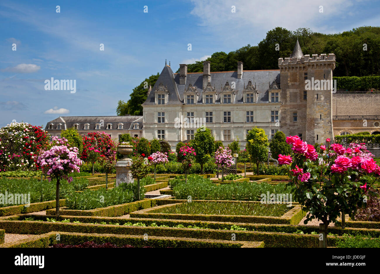 Villandry Chateau, Indre-et-Loire, France Stock Photo