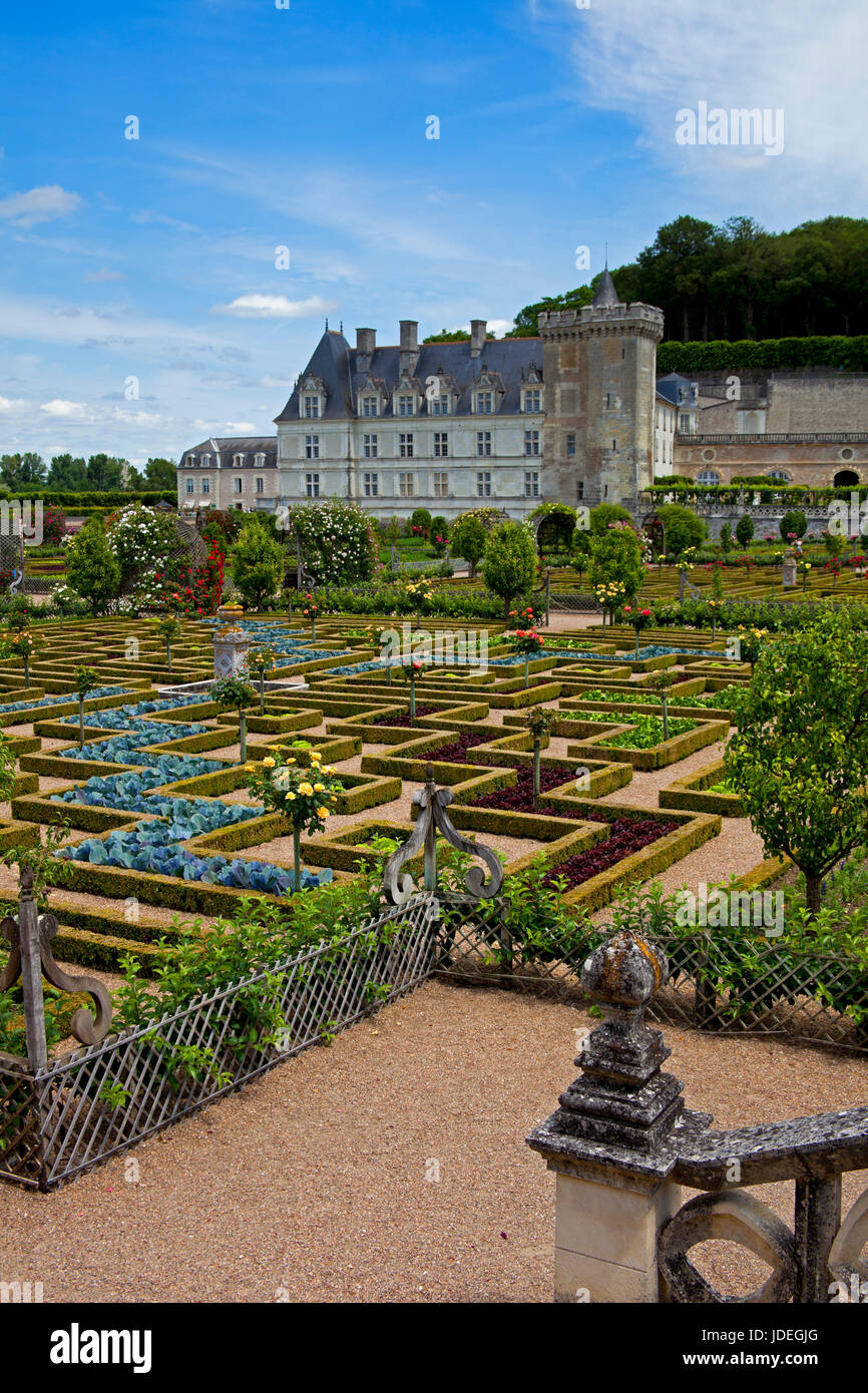 Villandry Chateau, Indre-et-Loire, France Stock Photo