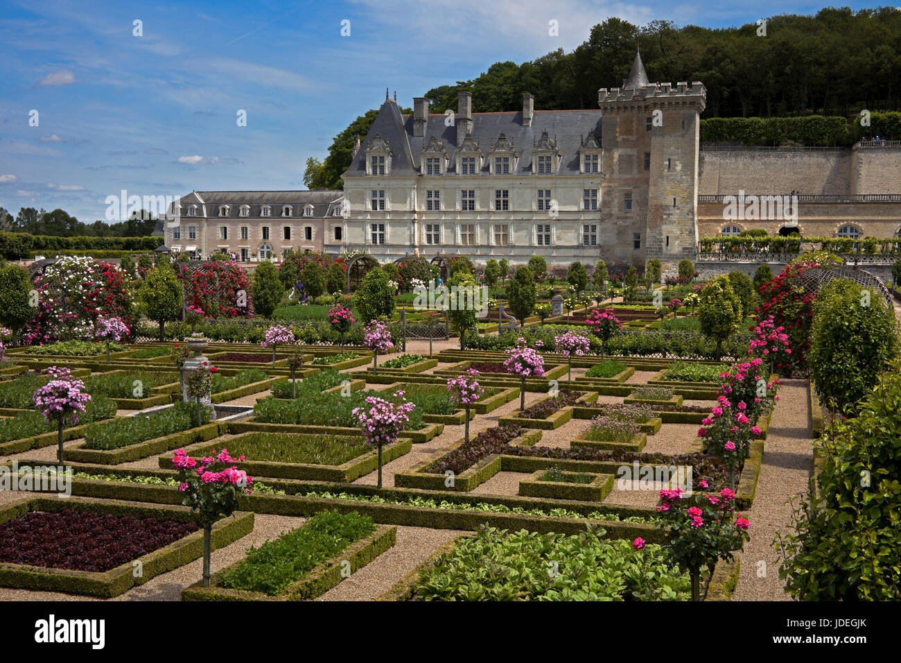 Villandry Chateau, Indre-et-Loire, France Stock Photo