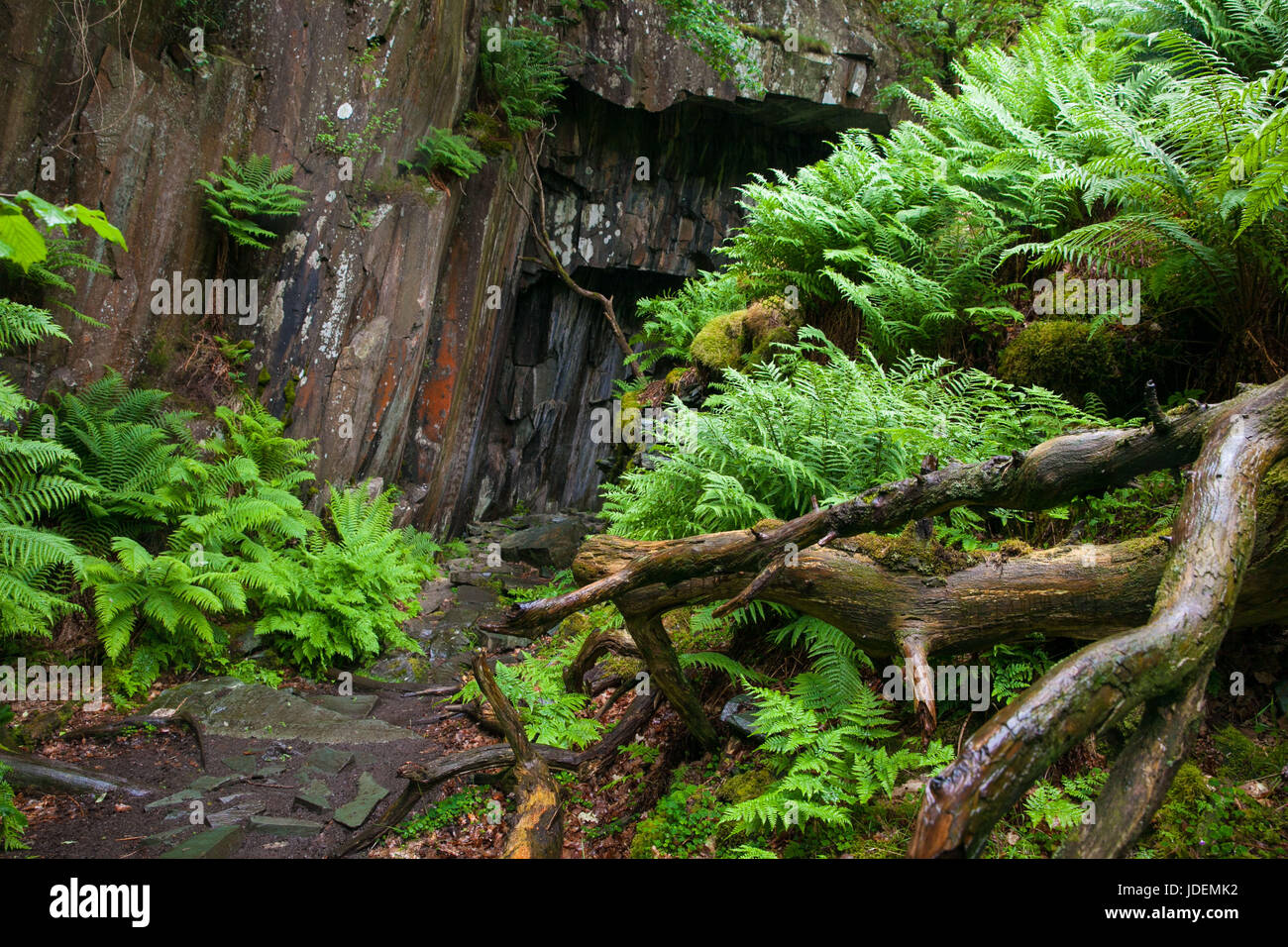 Cave in quarry Stock Photo Alamy