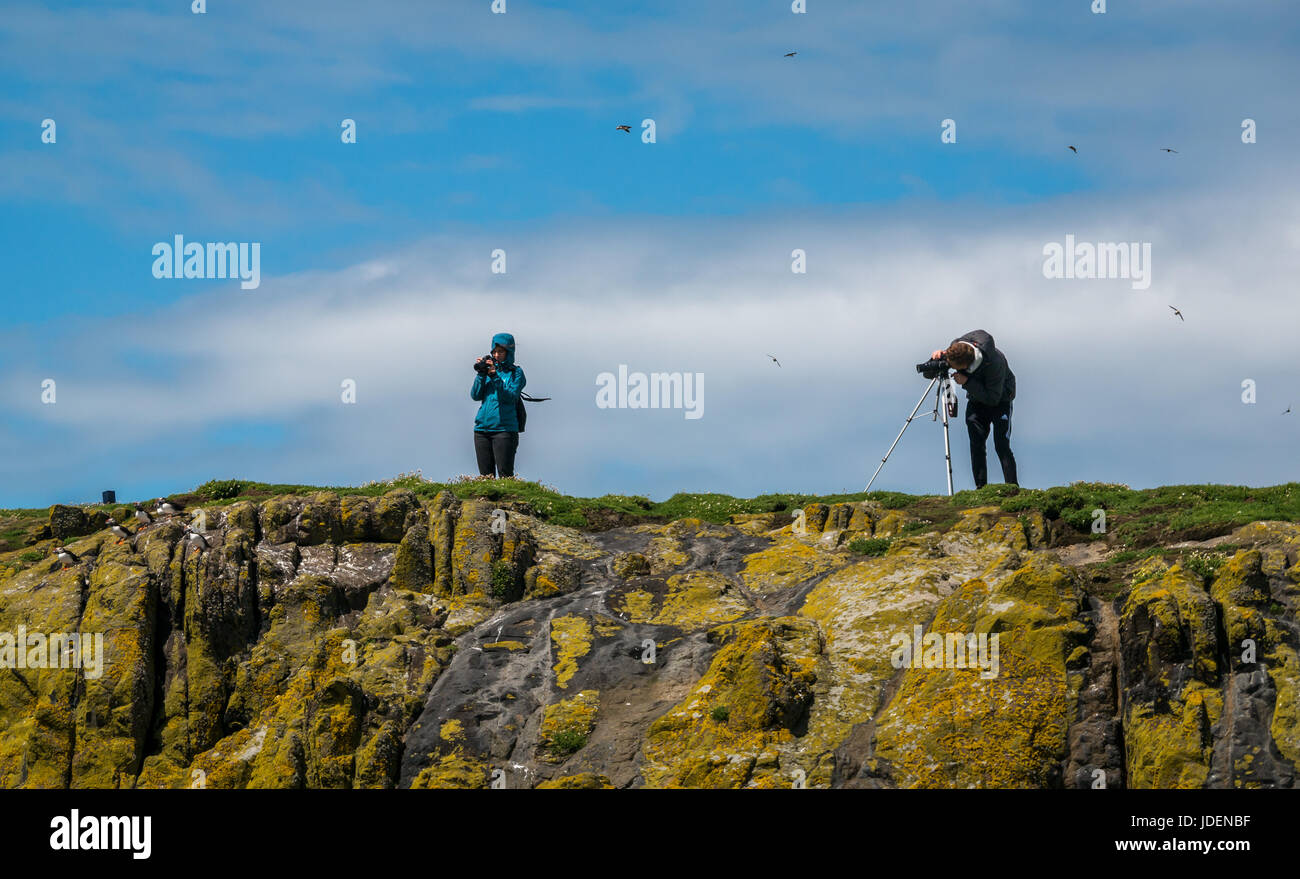Nature photographers on top of cliff with cameras and tripod, Isle of May, Firth of Forth, Scotland, UK Stock Photo