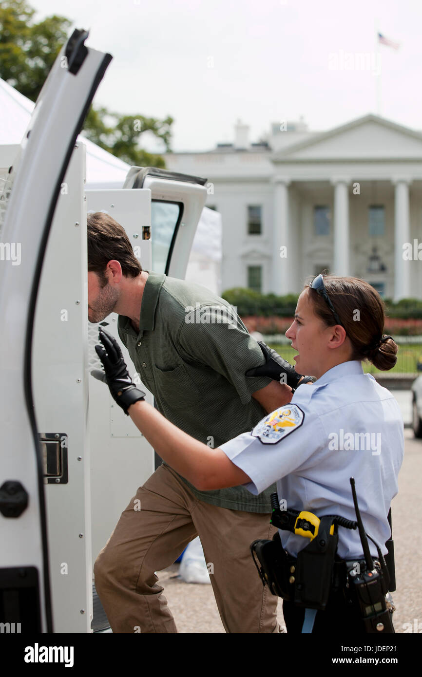 Police detained environmental protester led into police van - Washington, DC USA Stock Photo